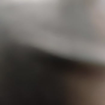 Adidas Ayakkabı Kalitesi Ve Müşteri Hizmeti Sorunu