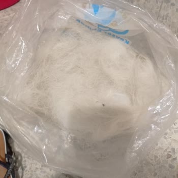 Felicia Somonlu Mama İle Tüy Dökülmesi Sorunu