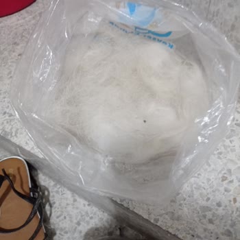 Felicia Somonlu Mama İle Tüy Dökülmesi Sorunu