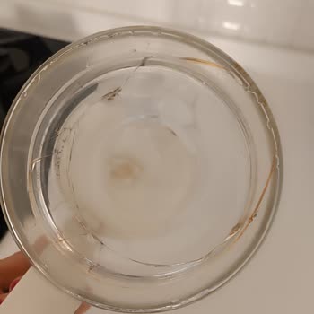 Sinbo Kahve Makinesi Cam Demlik Sorunu