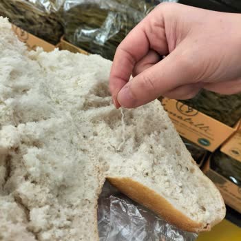 Migros'tan Aldığım Ekmeğin İçinden Çıkan Şaşırtıcı Madde Ve Yetersiz Çözüm