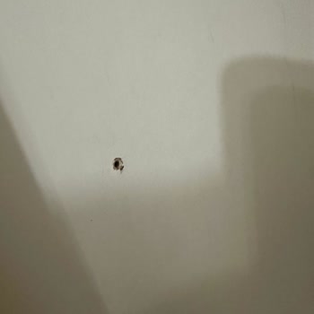 Bellona'dan Aldığım Gardırop Sorunları Ve İlgisizlik