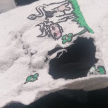 Bosch Çamaşır Makinesi: Yırtık Lastik Ve Şişen Parkeler