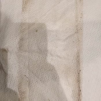 Temizlikte Hayal Kırıklığı Ve Sorumsuzluk