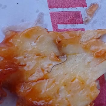 Hijyen Sorunu Ve Yanlış Ürün Sunumu