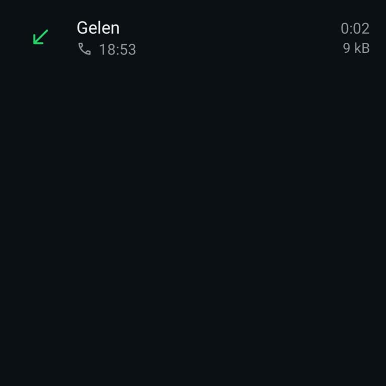 WhatsApp Üzerinden Yetkisiz Erişim Ve Güvenlik Endişesi