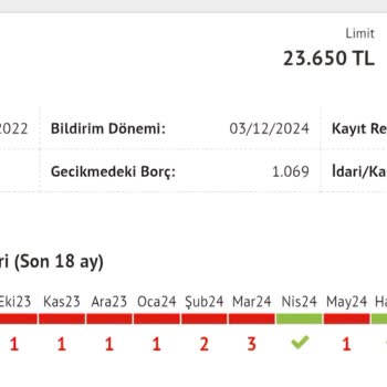 Findeks Puanı Ve Gecikmeli Bildirim Sorunu