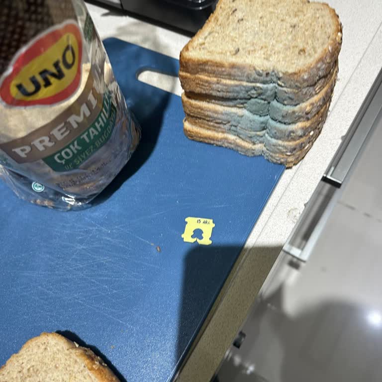 Küflü Ekmek Ve Tarihi Geçmiş Ürün Şoku