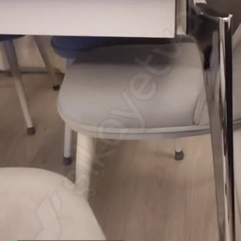 Bellona Garanti Sorunu Var!