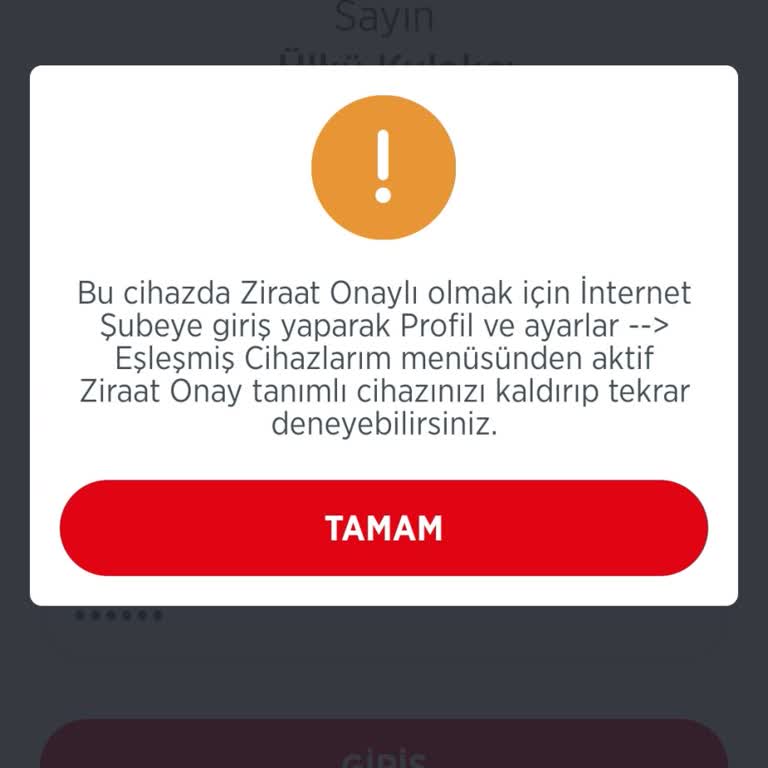 Mobil Bankacılık Giriş Sorunu: Cihaz Eşleştirme Engeli