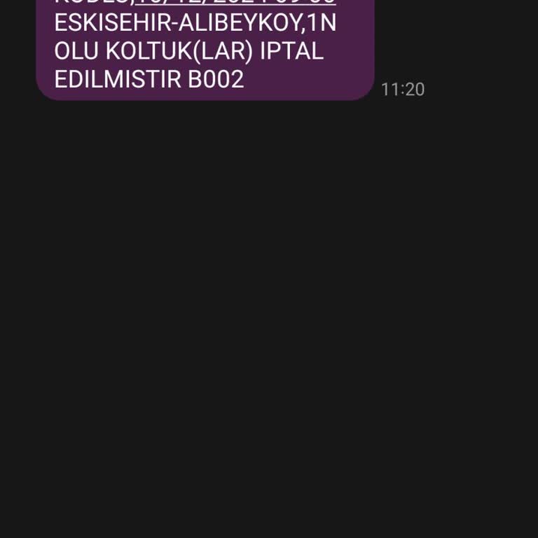 İptal Edilen Sefer Yüzünden Uçak Kaçırma Kabusu