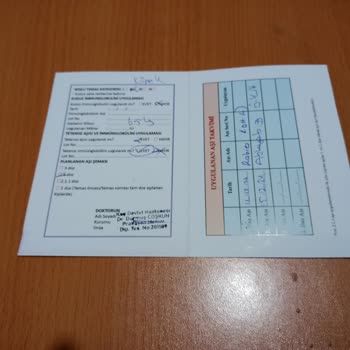 Sahipsiz Köpekler Tehlike Saçıyor: Kaş Belediyesi'ne Acil Çağrı