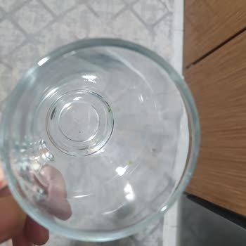 Samsung Bulaşık Makinesi İle Yaşanan Hayal Kırıklığı