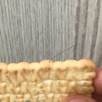 Ülker Pötibör Bisküvisinde Hijyen Sorunu