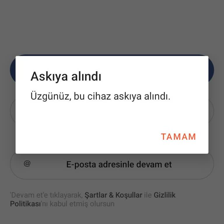 Eski Hesabıma Erişim Sorunu