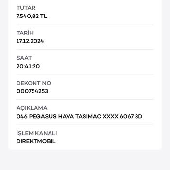 Ödeme Alındı, Bilet Yok: Pegasus'tan Çözüm Bekliyorum