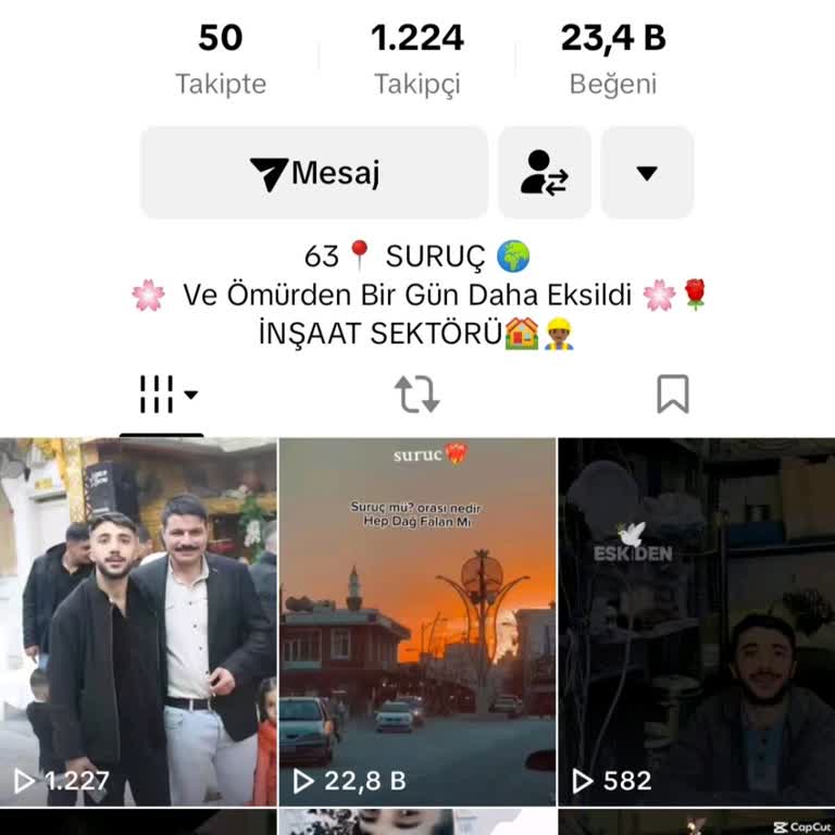 TikTok Hesabına Erişim Sorunu