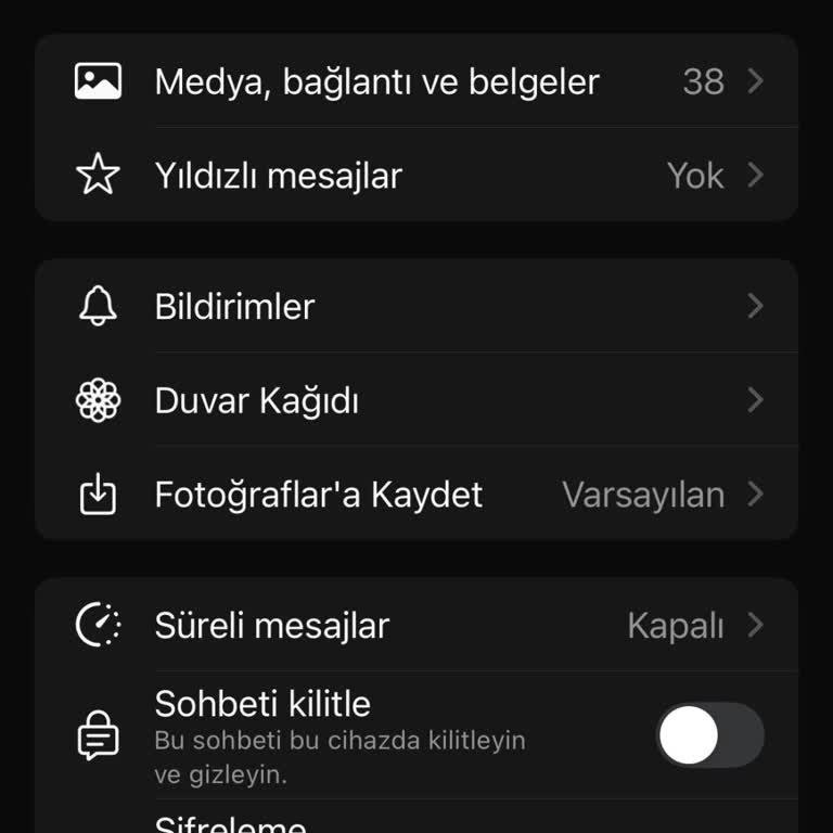 WhatsApp Tema Güncellemesi Sorunu