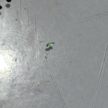 Kızılay İçecek İçecekte Cam Parçası Tehlikesi