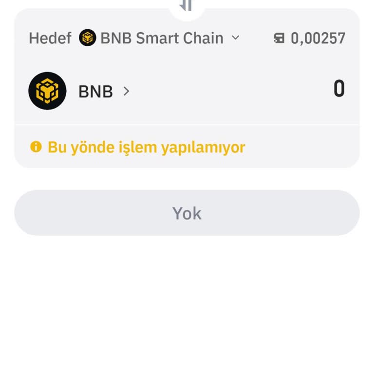 Trust Wallet'ta Hodl Token Takas Sorunu!