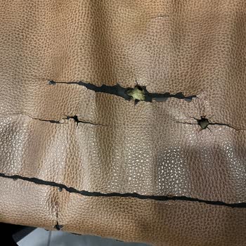 Tehlikeli Çivi Ve Yırtılan Pantolon: Şube İlgisizliği