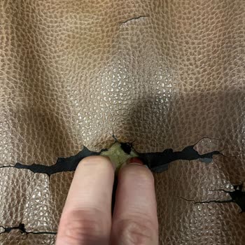 Tehlikeli Çivi Ve Yırtılan Pantolon: Şube İlgisizliği