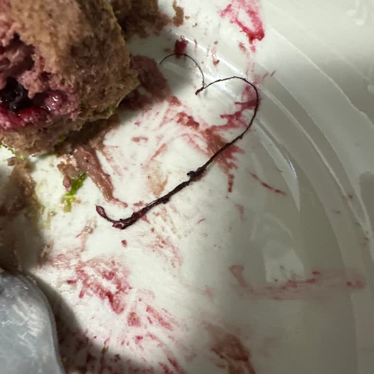 Dilek Pastanesi Yaş Pastadan İpe Benzer Bir Şey Çıktı!