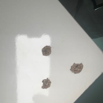 Karabacak Mobilya Kalitesi Ve Montaj Sorunları