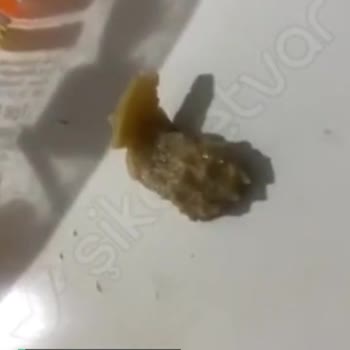 Piyale Makarnanın İçinden Hayvan Ayağı Çıktı