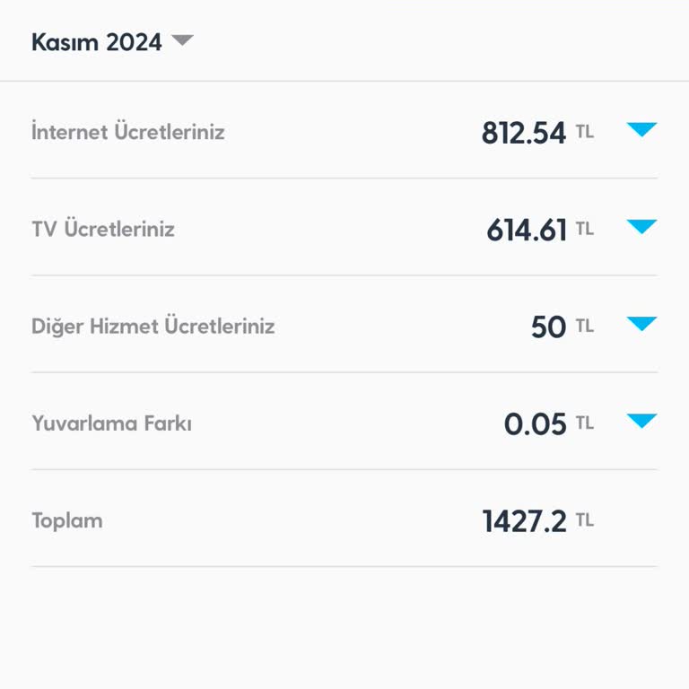 Superonline Fatura Yanıltması Ve Müşteri Hizmetleri Sorunu