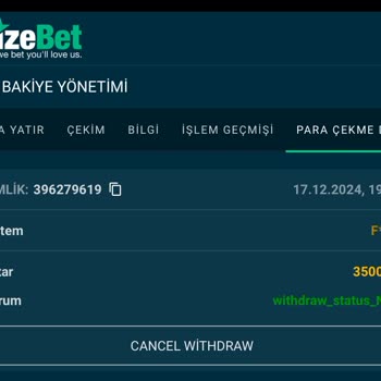 Vizebet Sitesinde Kazanç Ödemesi Alamama Sorunu
