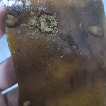 Sağlığımızı Tehlikeye Atan Ürün: Kuruyemişten Kurt Çıktı