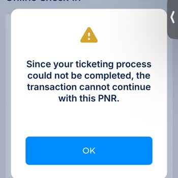 Dönüş Uçuşu İçin Check-in Sorunu Ve Acil Çözüm Talebi