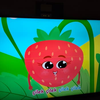 Arçelik TV'de Garanti Sonrası Hayal Kırıklığı