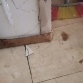 Kırık Ve Hasarlı Ürünler, İlgisiz Hizmet