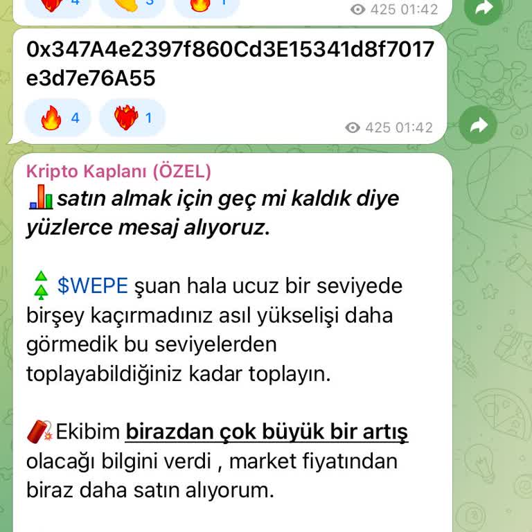 Binance Üzerinden Aldığım Sahte Token Şoku