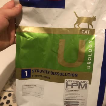 Yanlış Mama Seçimi Kedimi Ameliyata Götürüyor!