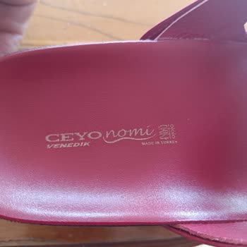 Ceyo Venedik Terliği Kendi Kendine Deforme Oldu