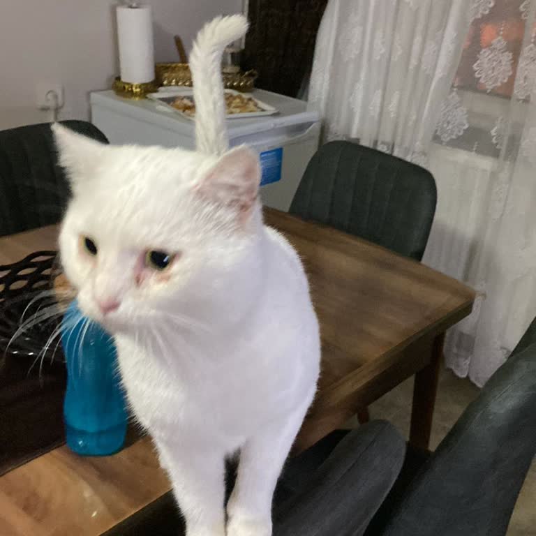 Ücretsiz İlan Verme Sorunu