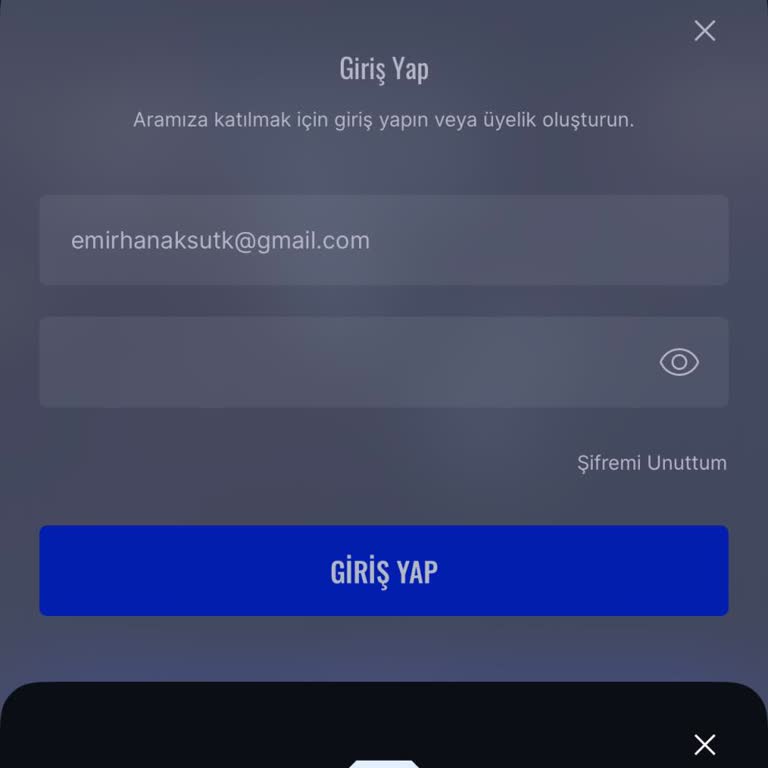 Sneaks Up Uygulamasında Giriş Sorunu