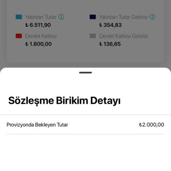 Bireysel Emeklilik Ödemelerinde Uzun Süreli Provizyon Sorunu