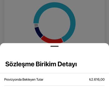 Bireysel Emeklilik Ödemelerinde Uzun Süreli Provizyon Sorunu