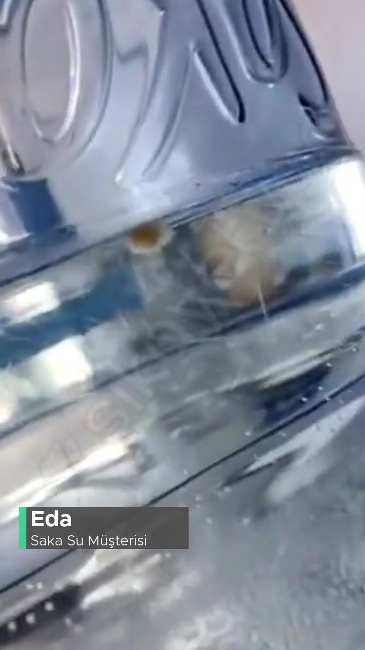 Saka Su Damacana İçinde Ne Olduğunu Bilmediğimiz Bir Şey Var! videonun kapak resmi