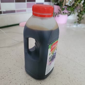 Ürün Tadı ve Kalitesi Hakkında Geri Bildirim