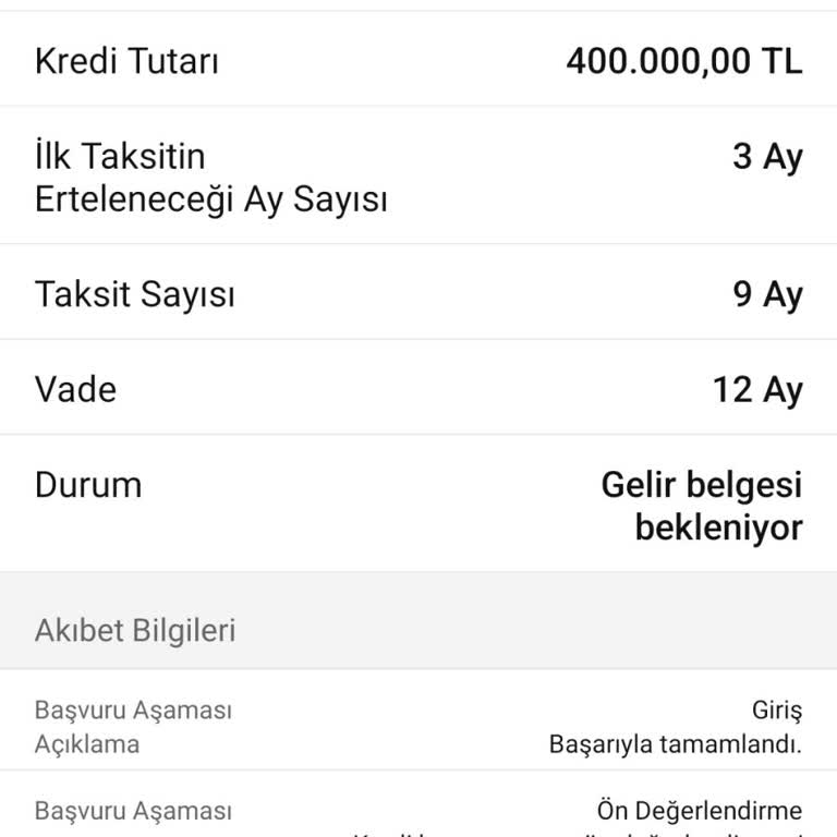 Ön Onaylı Kredide Gelir Belgesi Sorunu Ve E-Devlet Hatası