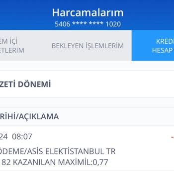 Aypara'nın İzinsiz Kredi Kartı Çekimleri