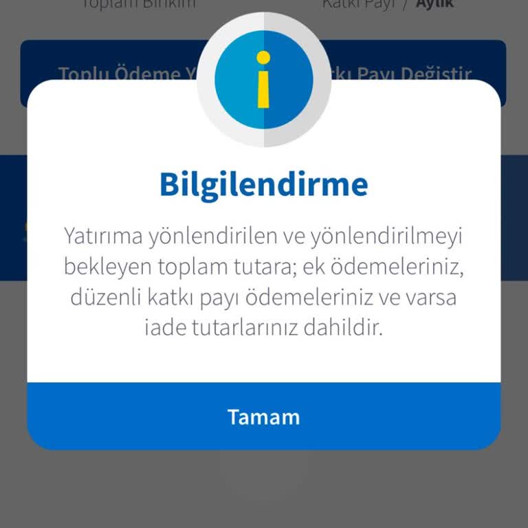 Bireysel Emeklilik Ödemesi Ve Gecikme Sorunu