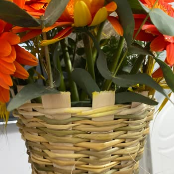 Taze Çiçek Sitesinde Hayal Kırıklığı