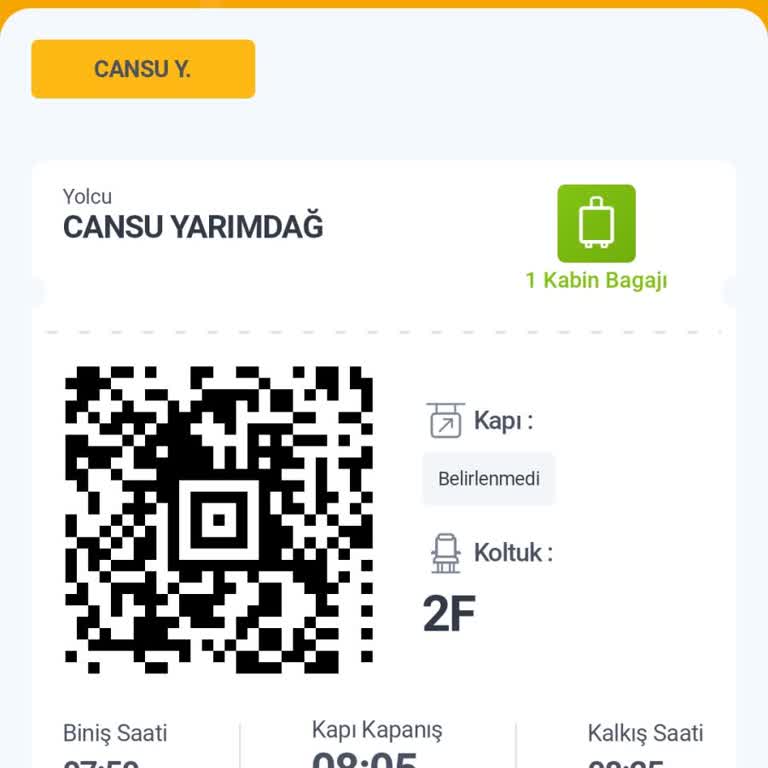 Pegasus'ta Koltuk Seçimi Hayal Kırıklığı