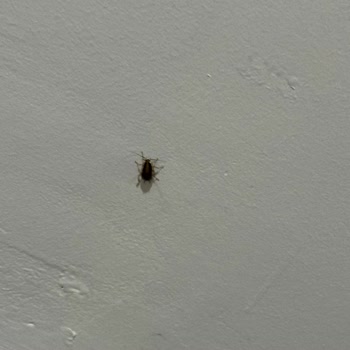 Kiptaş Konutlarında Aidat Sorunları Ve Yetersiz Hizmet